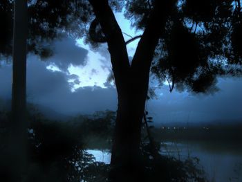 Silhouette trees by lake against sky at night