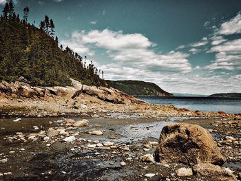 Rocks on beach against sky