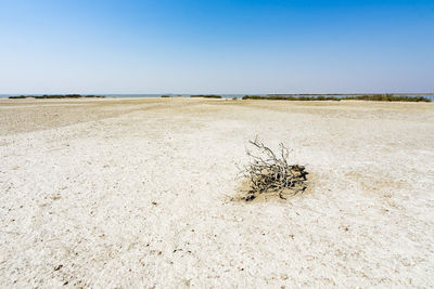 Margherita di savoia salt flats, apulia, italy