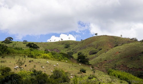 Scenic view of landscape against sky