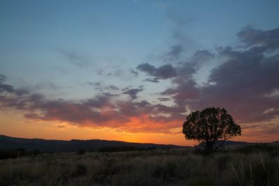 Scenic view of field against sky during sunset