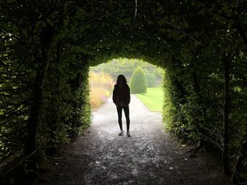 Full length of silhouette woman standing amidst plants at park