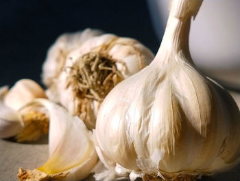 Close-up of white garlic on table