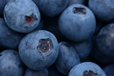 Full frame shot of blueberries