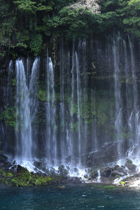 Scenic view of waterfall