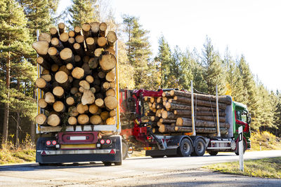 Lorries transporting logs