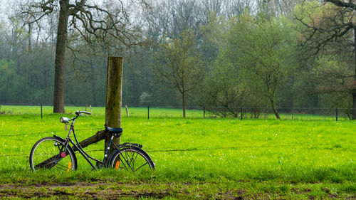 Bicycle on field