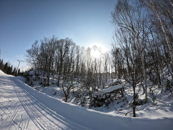 Bare trees on snow covered field against sky