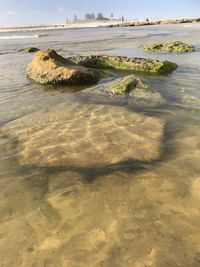 Surface level of rocks on beach against sky