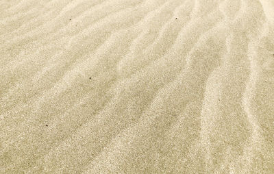 Close-up of sand background texture