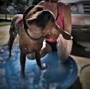 Woman with dog shaking off water in wading pool