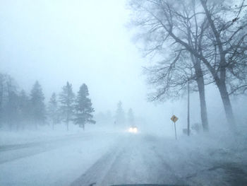 Road amidst trees against sky during winter