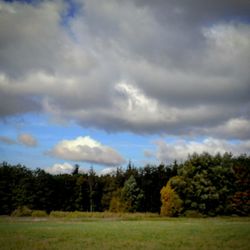 Trees on field against sky