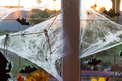 Close-up of spider web on glass window