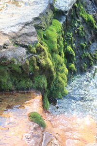 Close-up of stream flowing through rocks