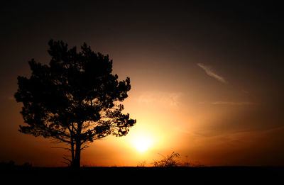 Silhouette tree against sky during sunset