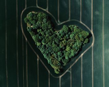 View of a heart shaped tree island in the field