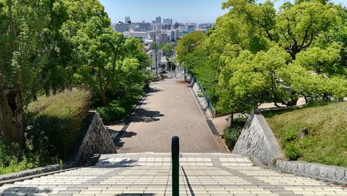 Footpath amidst trees in park