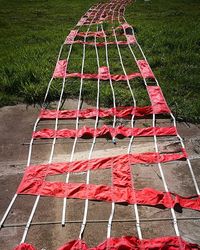 High angle view of grass