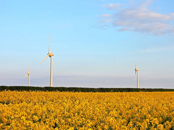 Windmills on field against sky