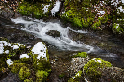 Stream flowing through rocks in forest