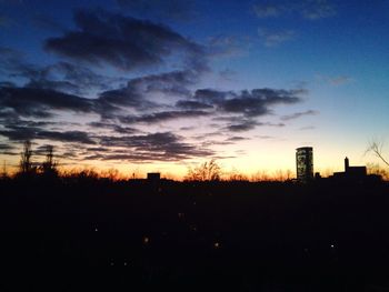 Silhouette of trees at sunset