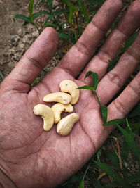 Close-up of person holding hand