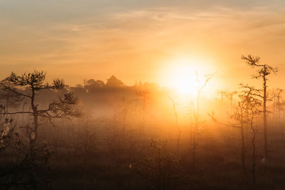 Silhouette trees against sky during sunset