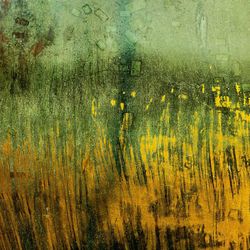 Full frame shot of yellow flower trees