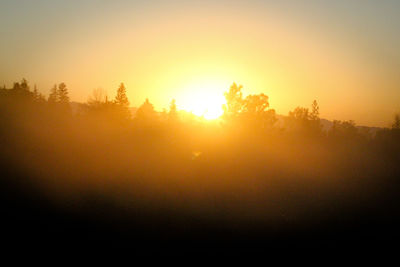 Silhouette trees on landscape against sky during sunset