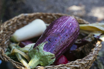 Close-up of dried leaf in basket