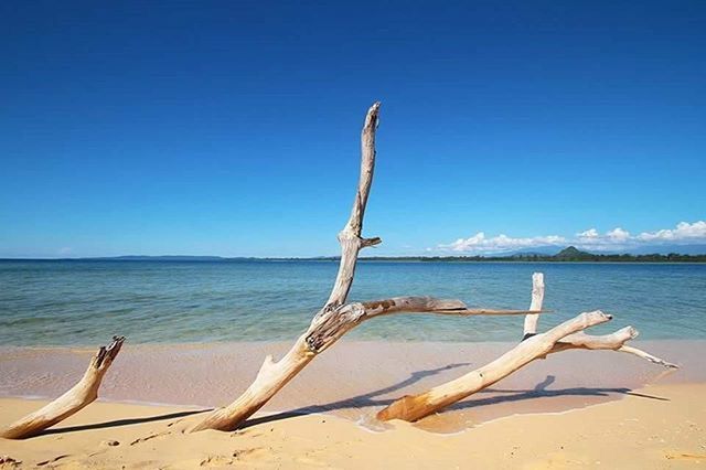 sea, water, blue, beach, horizon over water, tranquility, tranquil scene, clear sky, nature, scenics, sand, beauty in nature, shore, copy space, day, outdoors, idyllic, sky, remote, no people