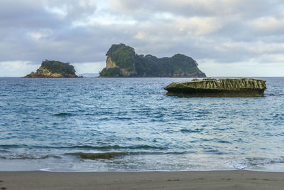 Coastal area named cathedral cove