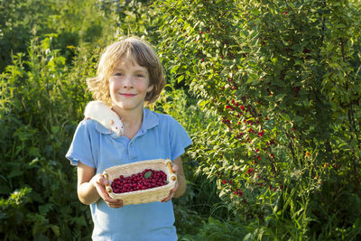 Portrait of boy holding red berries in basket against plants