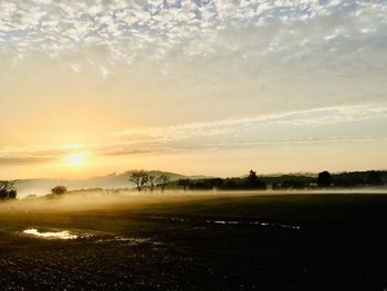 Scenic view of field against sky during sunset