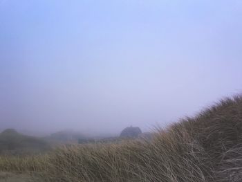 Scenic view of field against clear sky