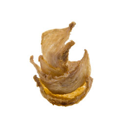 High angle view of bread against white background