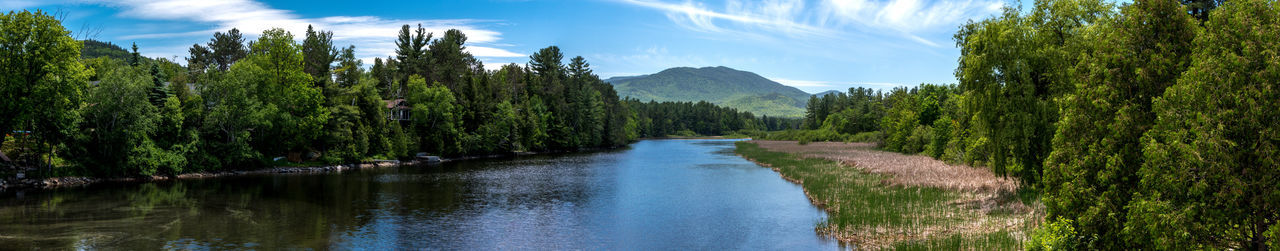 Panoramic shot of river amidst trees in forest against sky