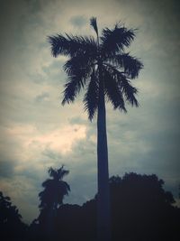 Low angle view of silhouette tree against sky at sunset