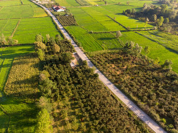 Scenic view of agricultural field