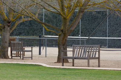 Trees in park