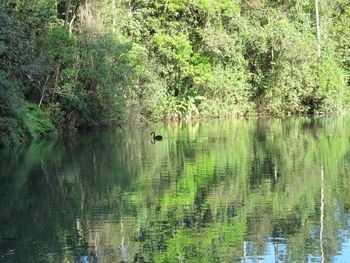 Scenic view of lake