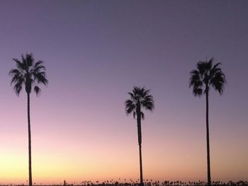 Silhouette palm trees against sky during sunset
