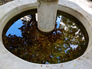 Close-up of tree by water