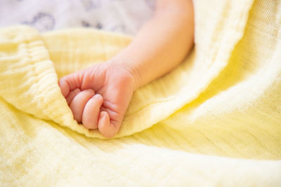 Low section of baby boy on bed