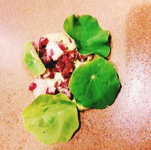 High angle view of green leaves on plate