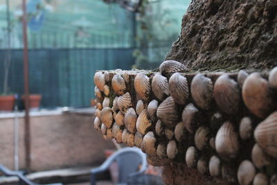 Close-up of rope tied on wood