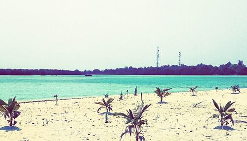 Scenic view of sea against clear sky