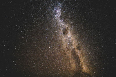 Low angle view of fireworks against sky at night