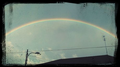 Rainbow over trees